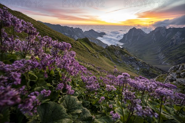 View over Saentis mountains into the valley of Meglisalp at sunrise
