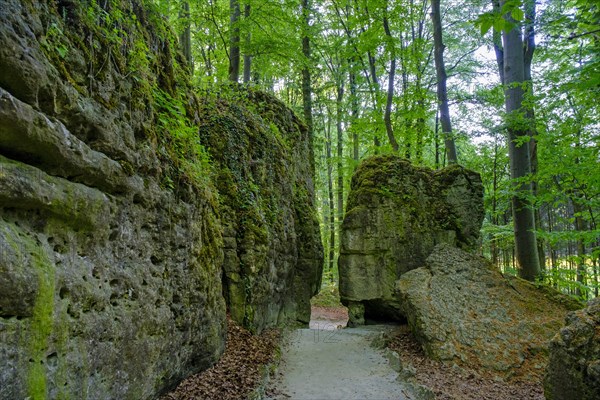 Rock Theatre