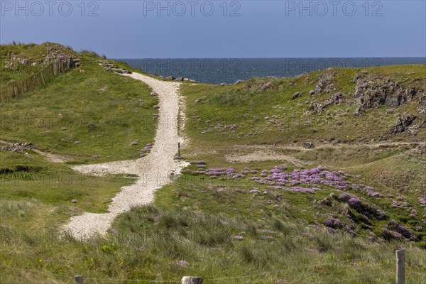 Beach and Coast