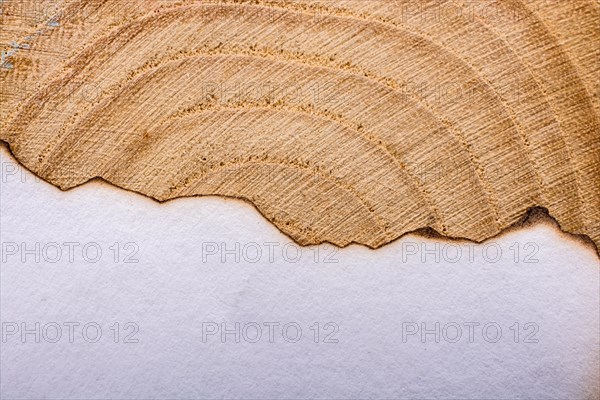 Paper with some burned edges