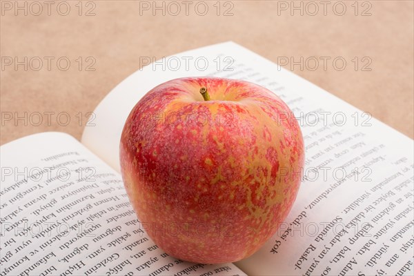 Back to school theme with a red apple