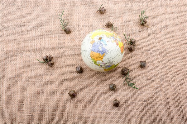 Globe is placed on canvas with cones around