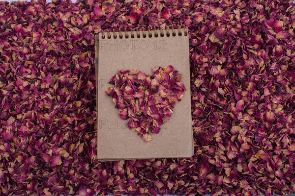 Dry rose petals form a heart shape on a spiral notebook