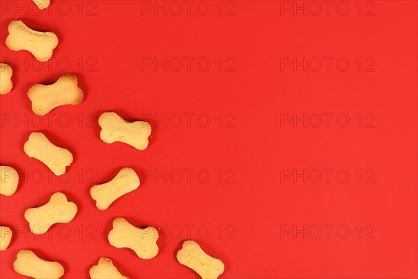 Bone shaped dog biscuits in corner of red background with empty copy space