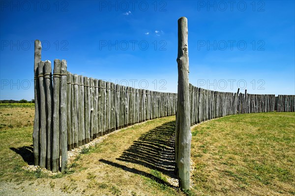 Goseck circular ditch