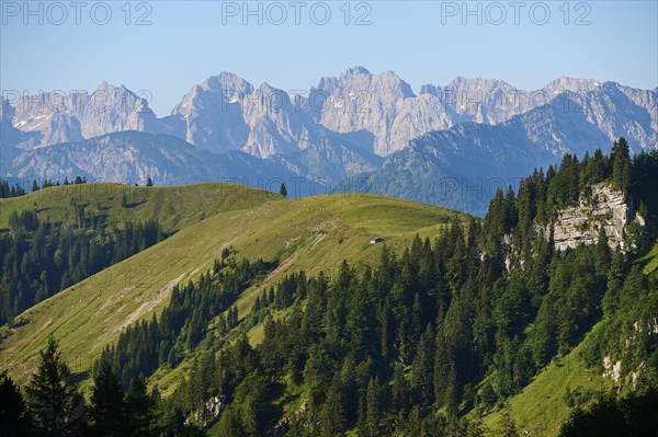 Wilder Kaiser