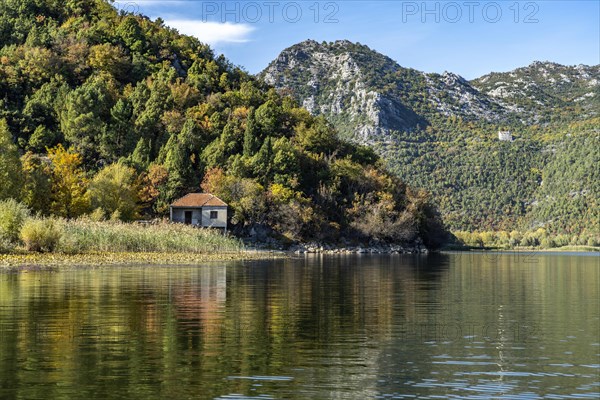 Landscape on the river Crnojevic near Rijeka Crnojevica