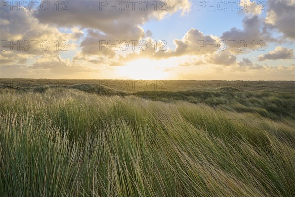Sand dune