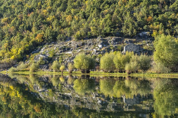 Landscape on the river Crnojevic near Rijeka Crnojevica