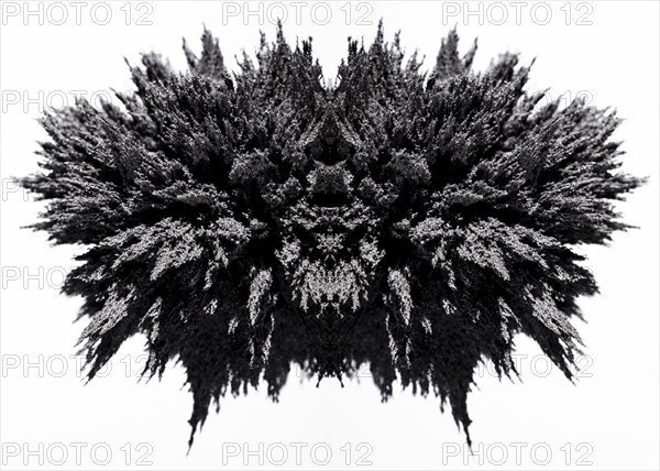 Symmetry magnetic metal shaving white backdrop