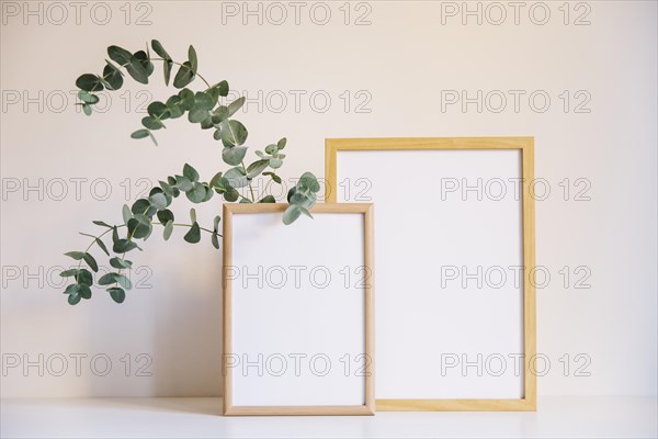 Two frames branch
