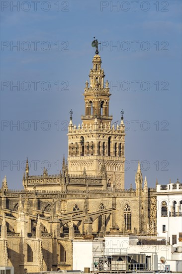 Cathedral of Santa Maria de la Sede in Seville