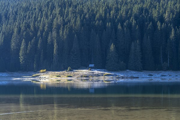 The Black Lake or Crno jezero