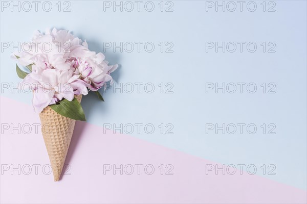 Abstract ice cream cone bouquet flowers
