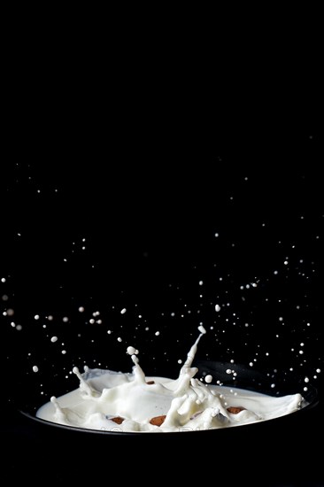 Cereals falling on a plate with splashing milk
