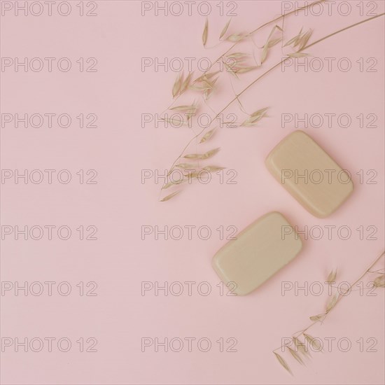 Elevated view soaps husk pink surface