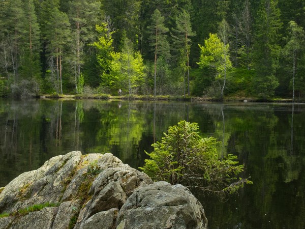 Mathisleweiher
