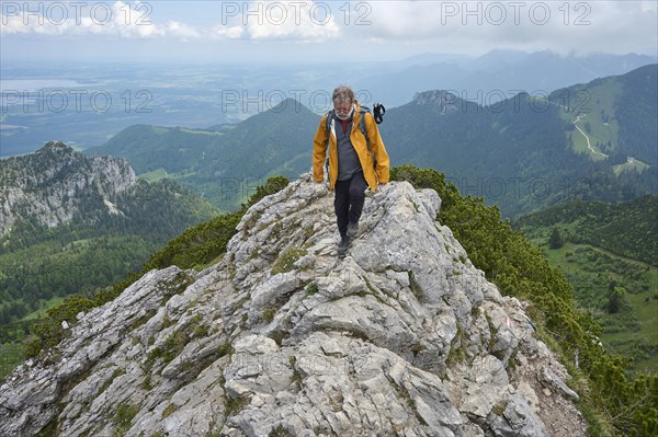 Hiker
