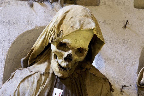 Skull