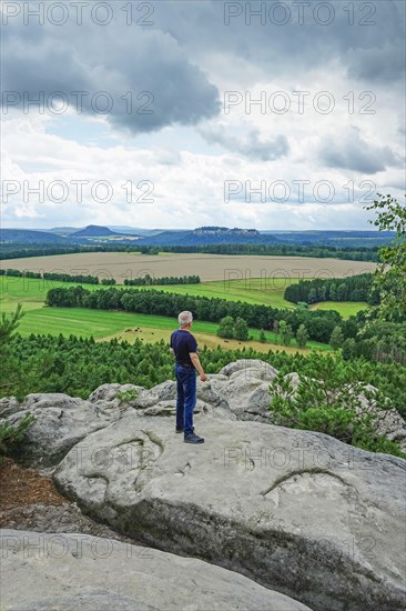View from Rauenstein towards Koenigstein Fortress