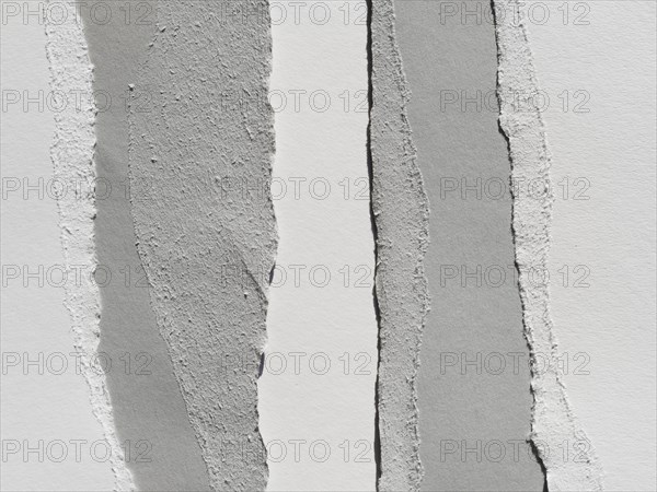 Gray shreds paper