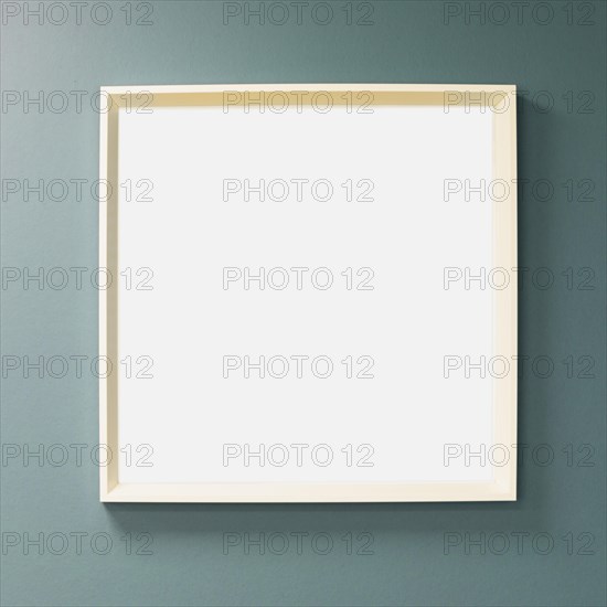Blank canvas