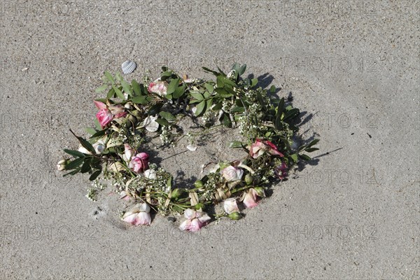 Marine litter washed up on the beach
