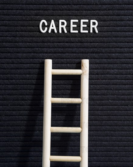 Front view wooden ladder carrer