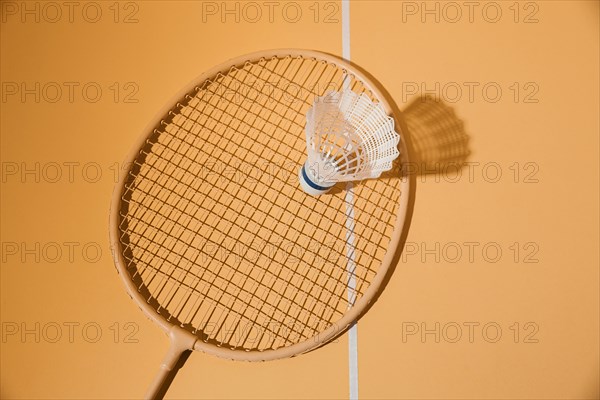 Badminton racket shuttlecock top view