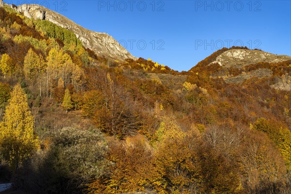 Autumn mountain landscape near Durmitor National Park