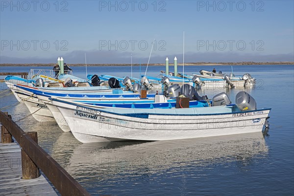 Tourist boats waiting for tourists to spot gray whales at Puerto Adolfo Lopez Mateos