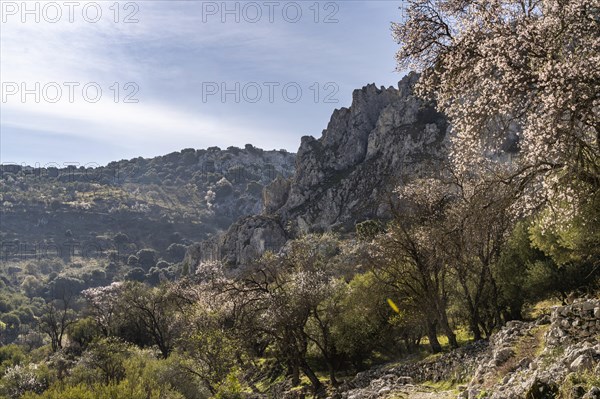 Landscape along the hiking trail of the Rio Bailon near Zuheros
