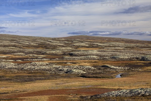 Tundra landscape in autumn at the Rondane National Park