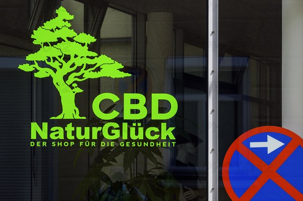 Logo and lettering