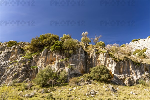 Landscape along the hiking trail of the Rio Bailon near Zuheros