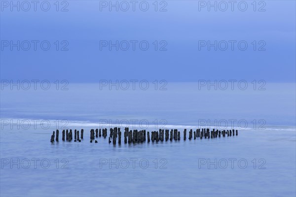 Remnant of old weathered wooden groyne