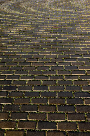 Street pavement at Premysl Otakar II Square in the historic old town of Ceske Budejovice