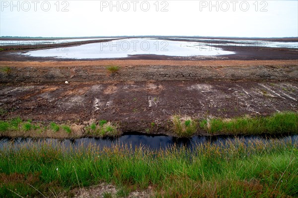 Peat extraction