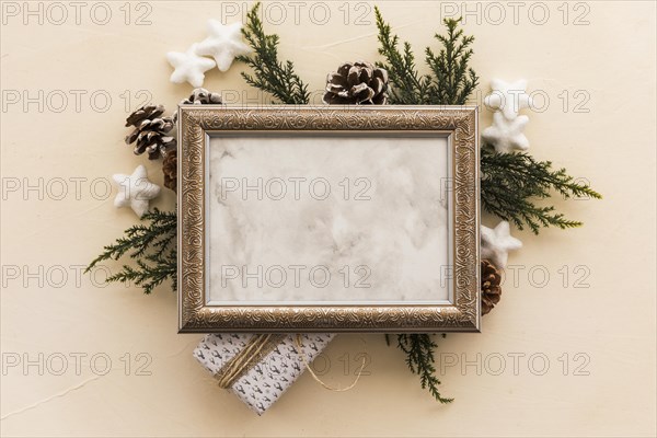 Blank frame green branches
