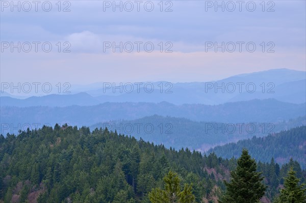 Mountain top
