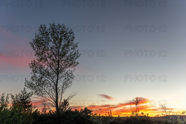 Cloud and clear sky during a sunset. Le Rozier