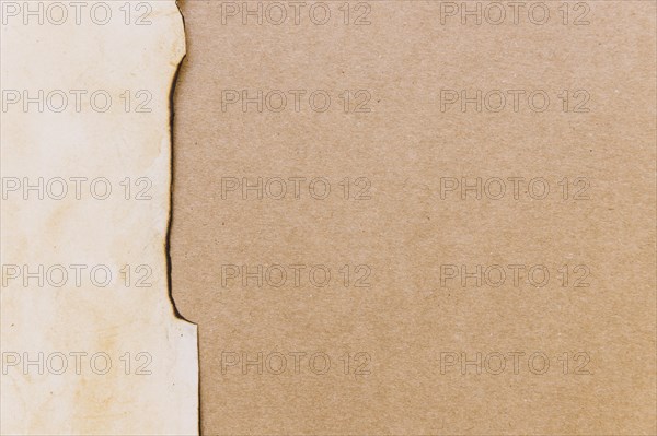 Ripped cardboard paper texture