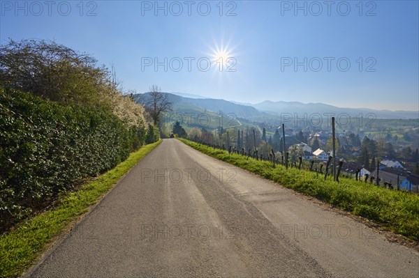Road