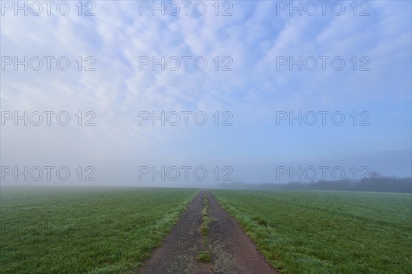 Field path