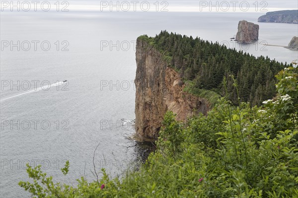 Steep cliff