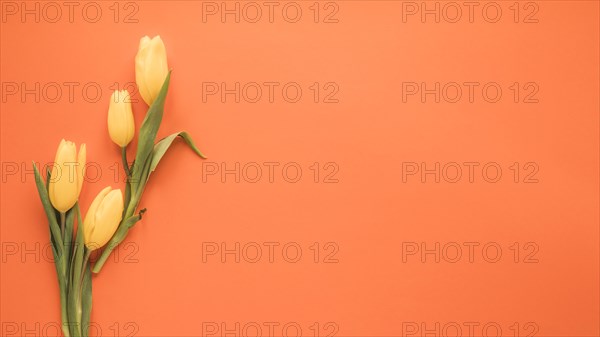 Yellow tulip flowers orange table