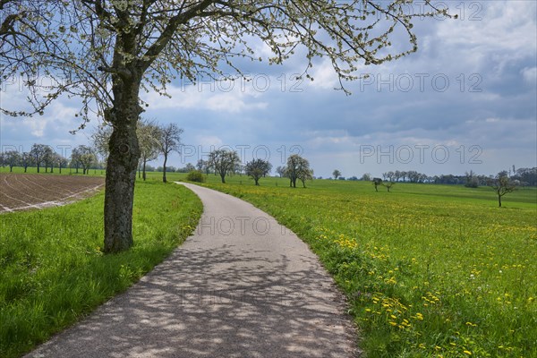 Field path