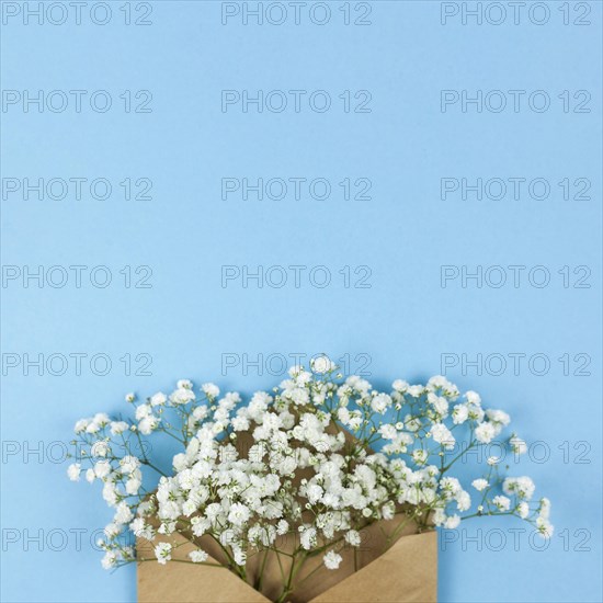 High angle view white baby s breath flowers with brown envelop against blue background