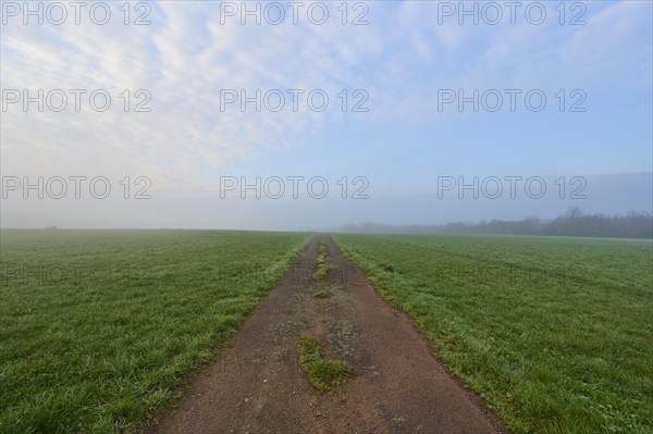 Field path