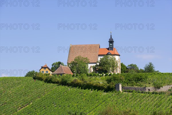 Pilgrimage church Maria im Weingarten